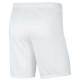 Nike Παιδικό σορτς Dri-FIT Park 3 Shorts